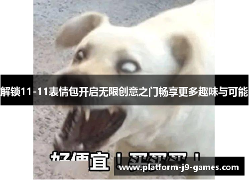 解锁11-11表情包开启无限创意之门畅享更多趣味与可能