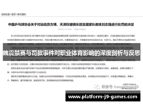 魏震禁赛与罚款事件对职业体育影响的深度剖析与反思