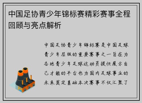 中国足协青少年锦标赛精彩赛事全程回顾与亮点解析